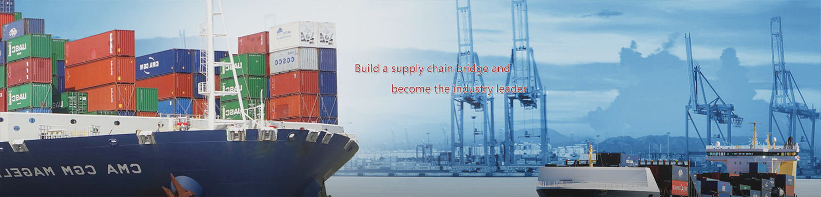 Coches eléctricos grandes