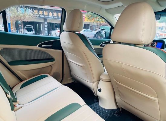 Largo se extiende 4 gato eléctrico 150km/h de SUV ORA de la impulsión de la rueda el buen para los adultos