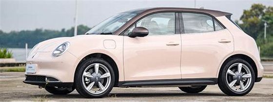 vehículos eléctricos amistosos de 150km/h ECO LOS 400KM ORA buena Cat Pure Electric Cars