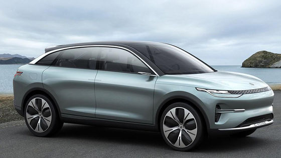 Vehículos eléctricos de alta velocidad automotrices SUV New Energy Lingpao C11 para los adultos