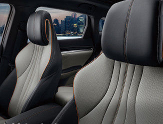 Coches eléctricos amistosos de BYD ECO