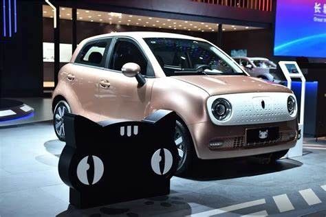 Negro eléctrico Cat New Energy Vehices 102km/h de Euler de los coches de los 351KM mini EV para la señora