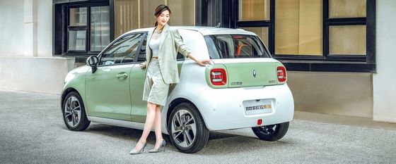 Negro eléctrico Cat New Energy Vehices 102km/h de Euler de los coches de los 351KM mini EV para la señora