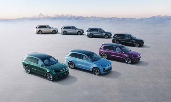 42.8kWh batería 6 Seat SUV eléctrico