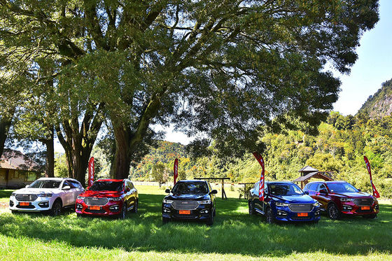 los 110km 4 coches eléctricos GWM Haval H6 DHT PHEV de la impulsión de la rueda tapan en vehículos híbridos