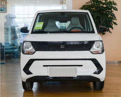 CLTC 180km Mini Electric SUV FENGON New Energy Dongfeng EV Cars
