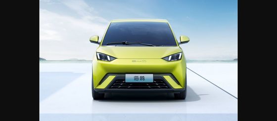 Newest Launched BYD EV Car- Adults EV Byd Seagull 2023 Free Edition  Solar Electric Car